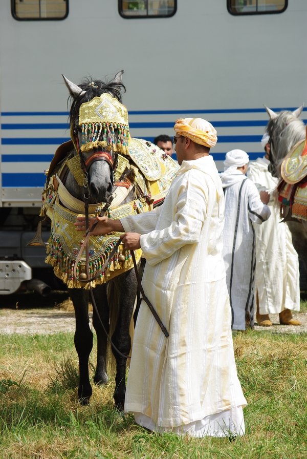 Le Moussem des Cultures 2008 121.jpg